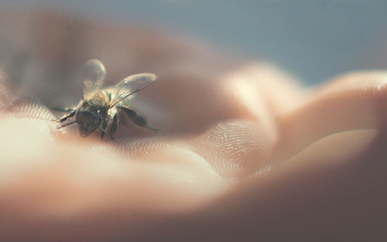 11-2022-Guerlain-BB-Commitment-Page-Bee_1280x800.jpg