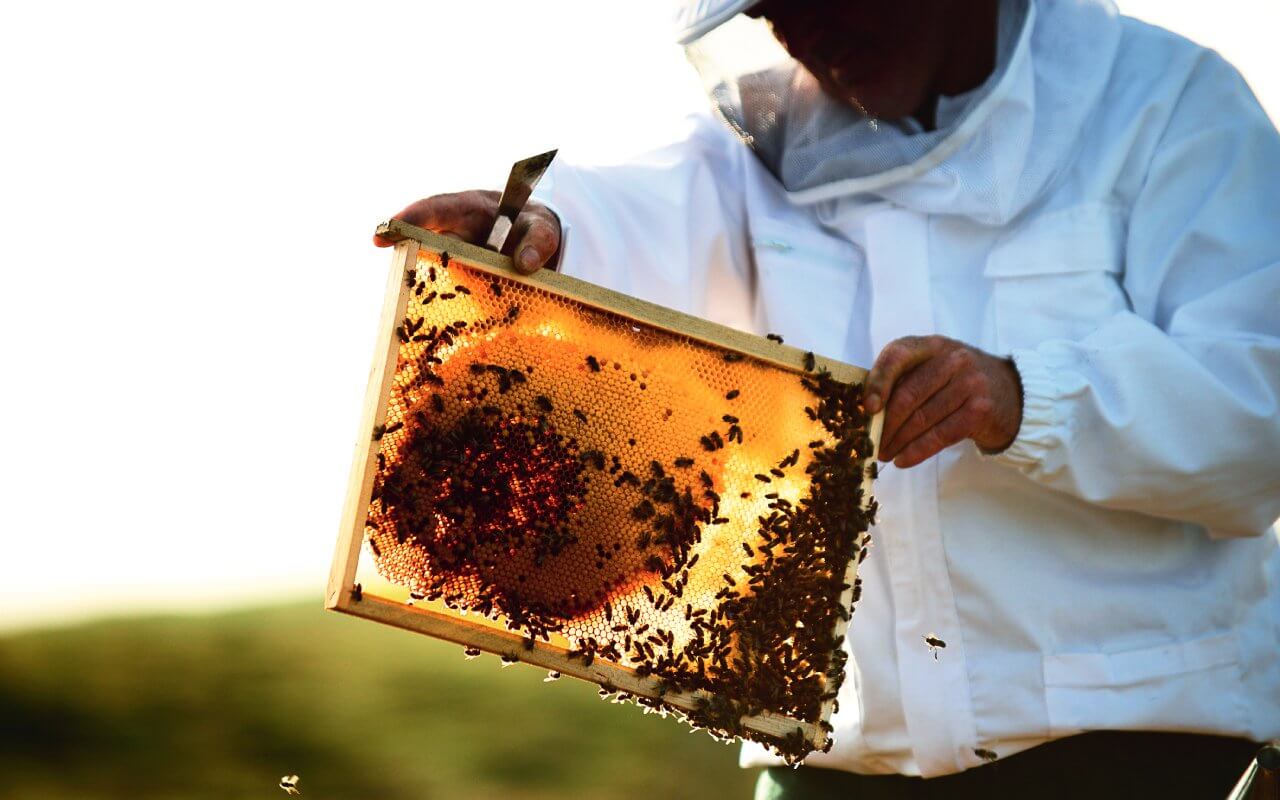 11-2022-Guerlain-BB-Commitment-Page-Beekeper_1280x800.jpg